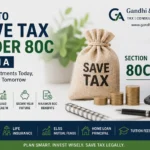 How to Save Tax Under 80C in India